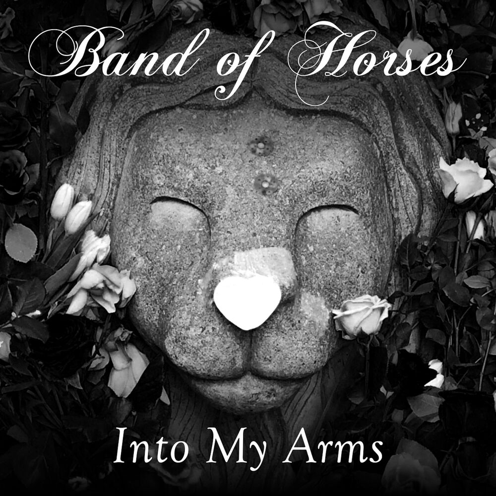 Picture of Into My Arms