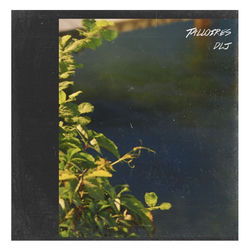 Pochette album