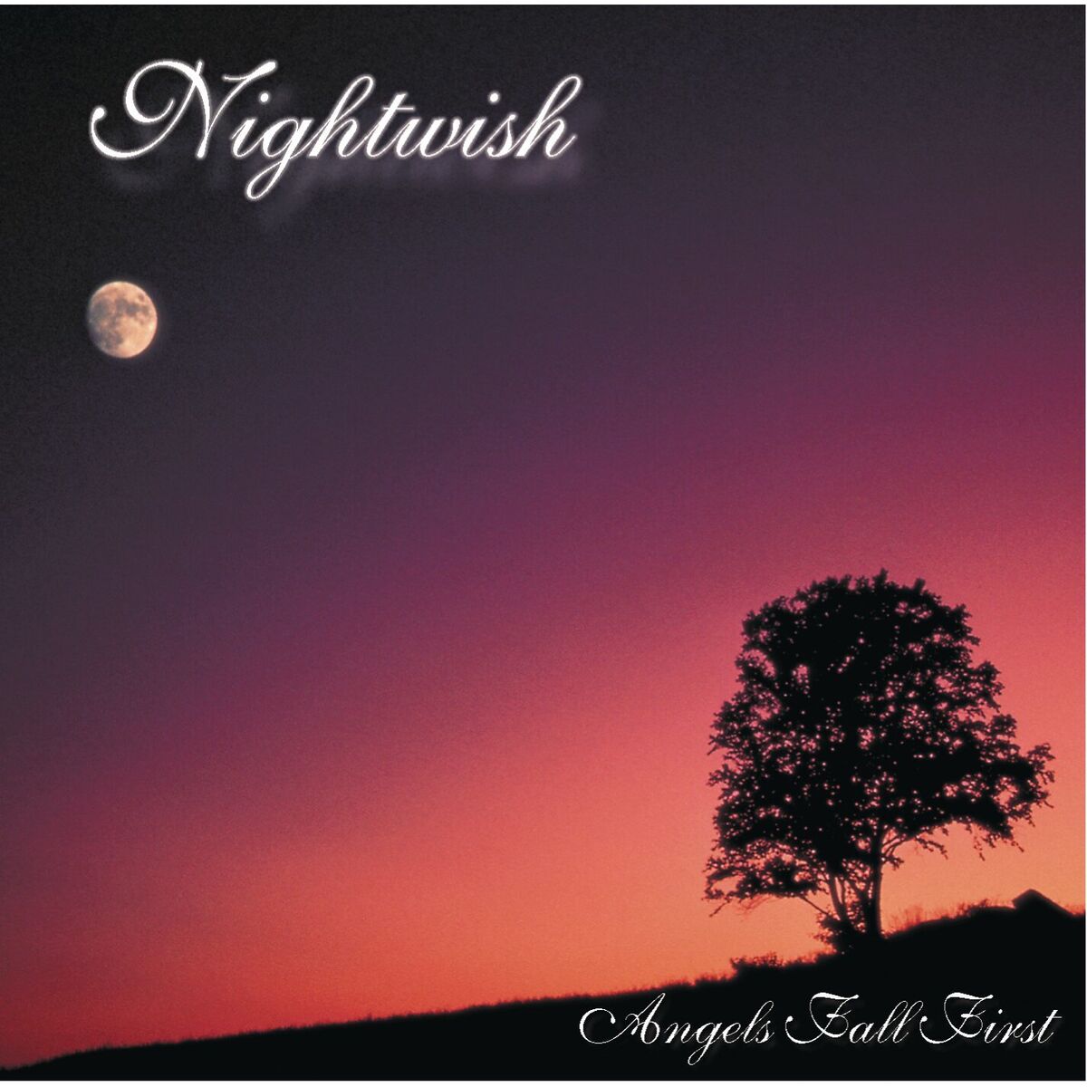 Album cover of Angels Fall First