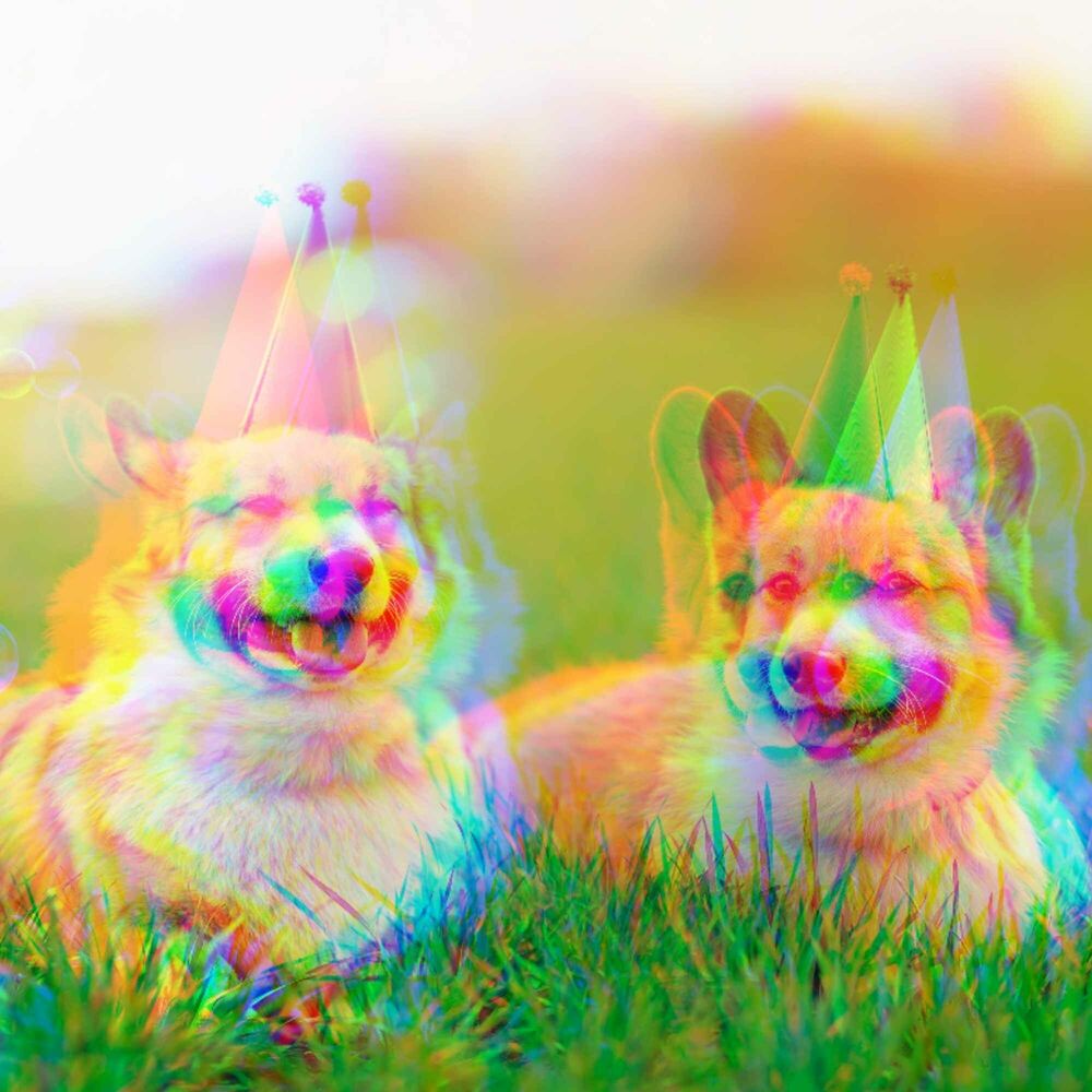 Picture of Jazz Guitar - Bgm for Doggy Evening Energy