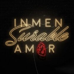 Cover of Inmensurable Amor