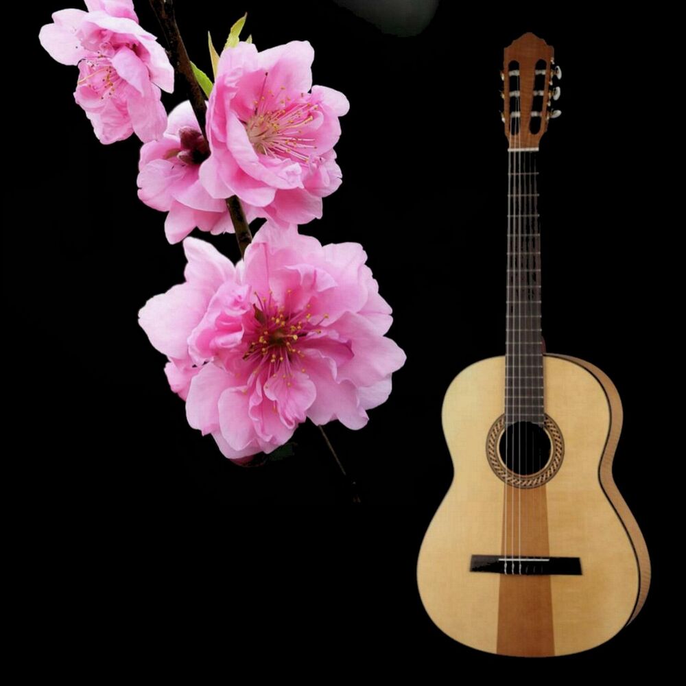 Picture of Cerezo rosa