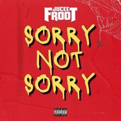Cover of Sorry Not Sorry