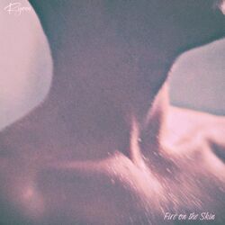 Cover of Fire on the Skin