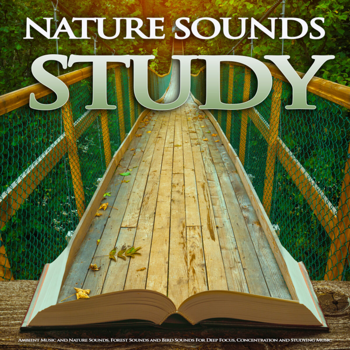 Album cover of Nature Sounds Study: Ambient Music and Nature Sounds, Forest Sounds and Bird Sounds For Deep Focus, Concentration and Studying Mus