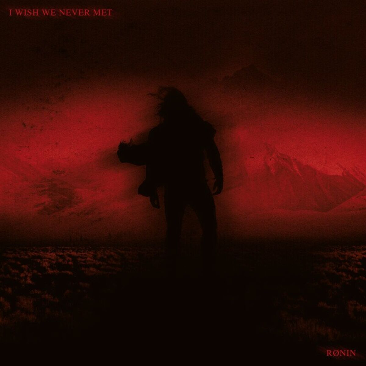 Album cover of I WISH WE NEVER MET