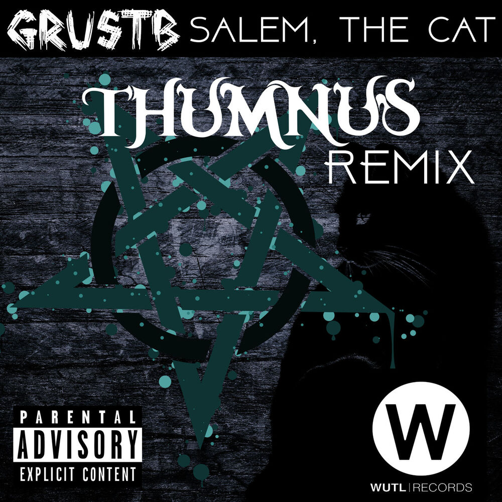 Picture of Salem, the Cat (Thumnus Remix)