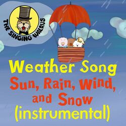 Cover of Weather Song