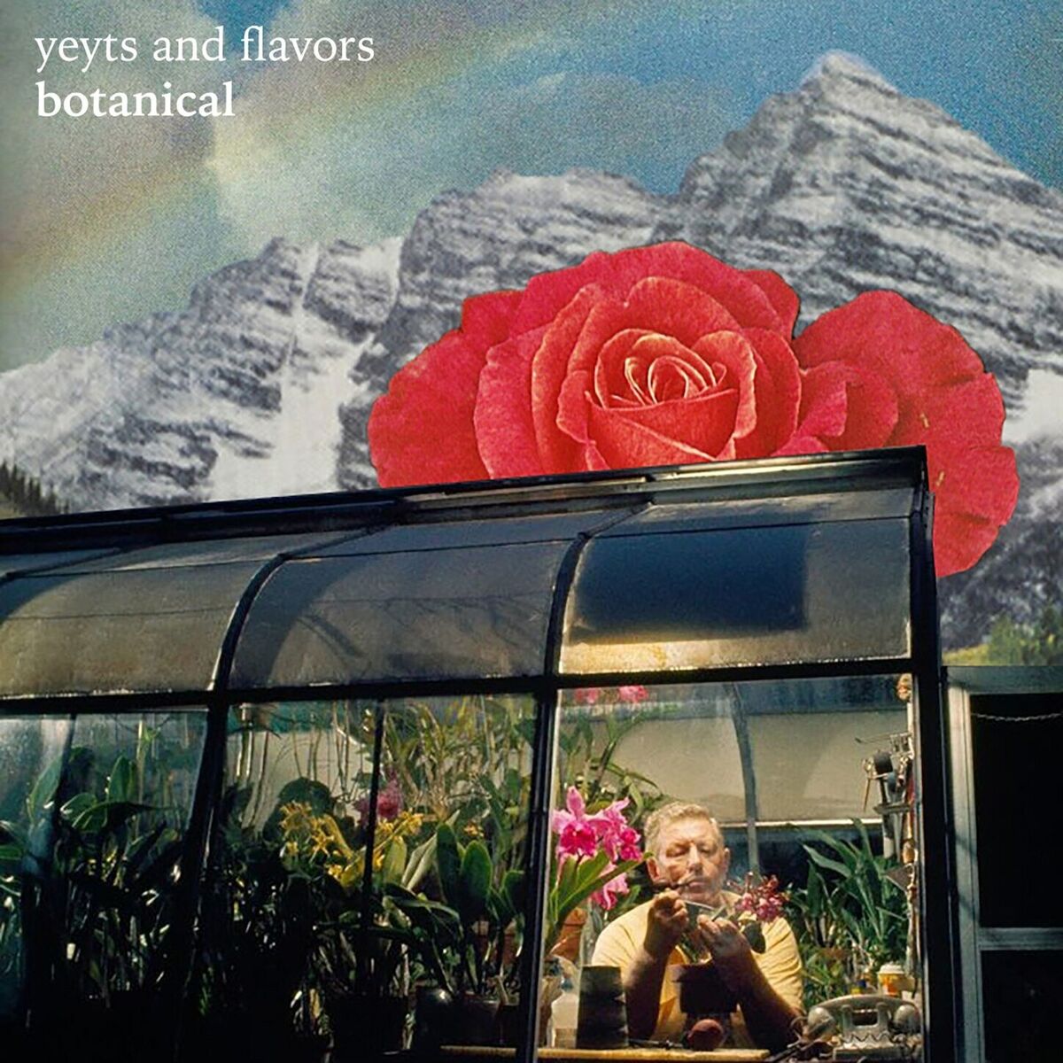 Album cover of botanical.