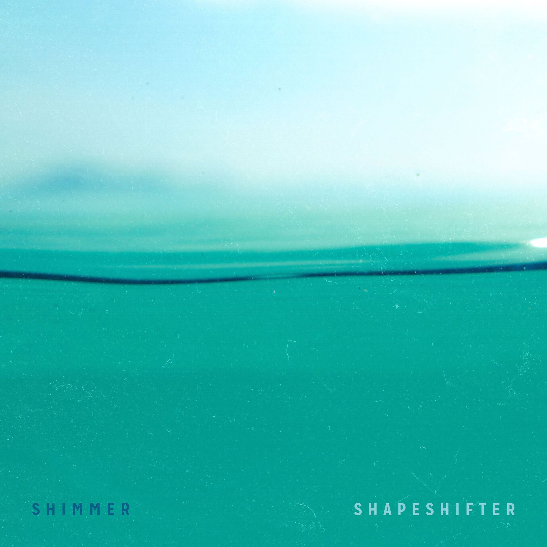 Album cover of Shapeshifter