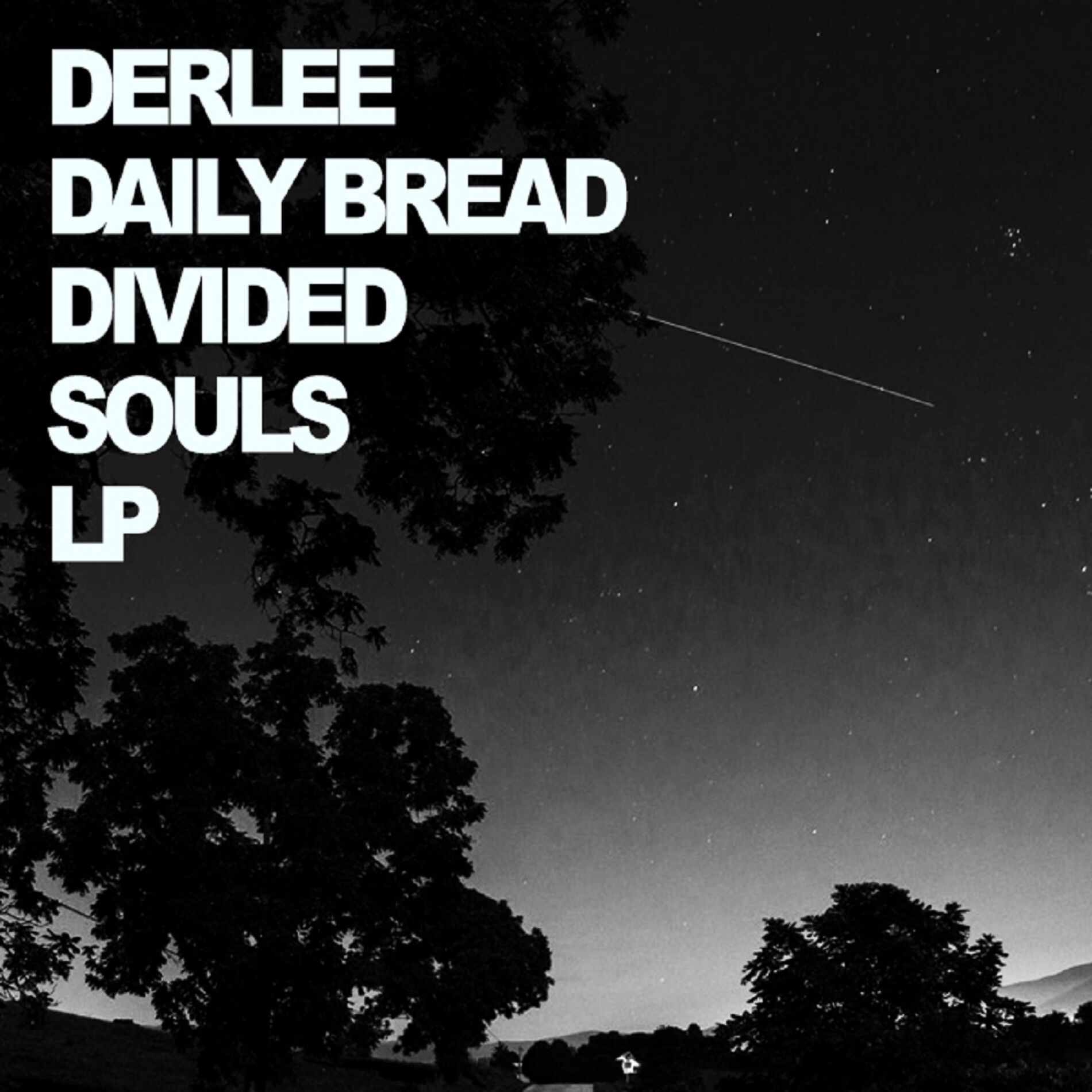 Album cover of Divided Souls