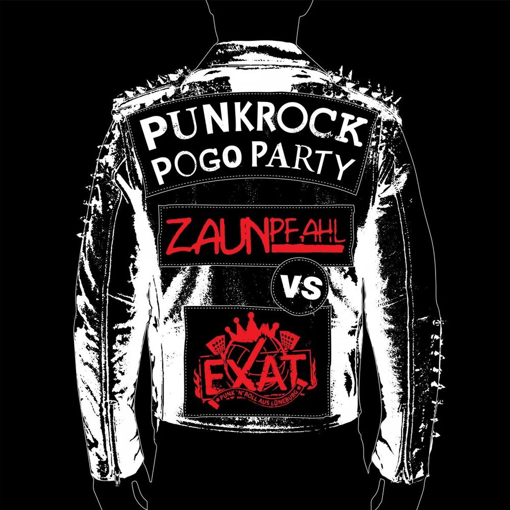 Picture of Punkrock Party Pogo Split EP