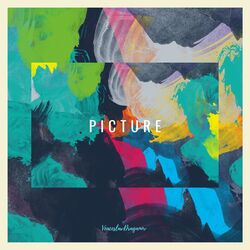 Cover of Picture
