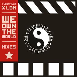 Cover of We Own the World