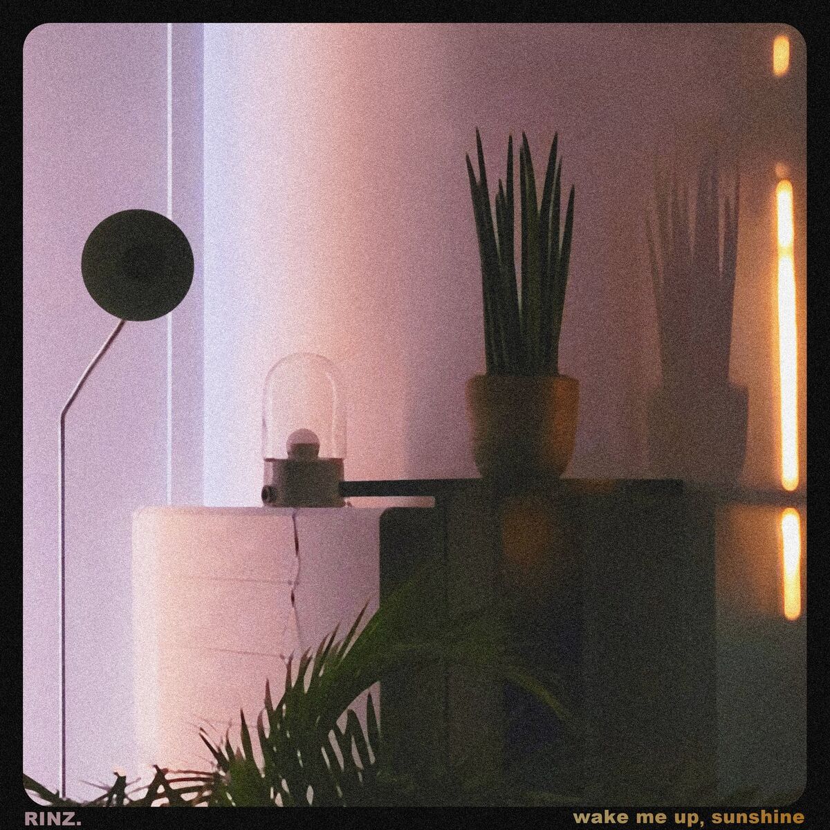 Album cover of wake me up, sunshine
