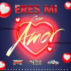 Cover of Eres Mi Gran Amor