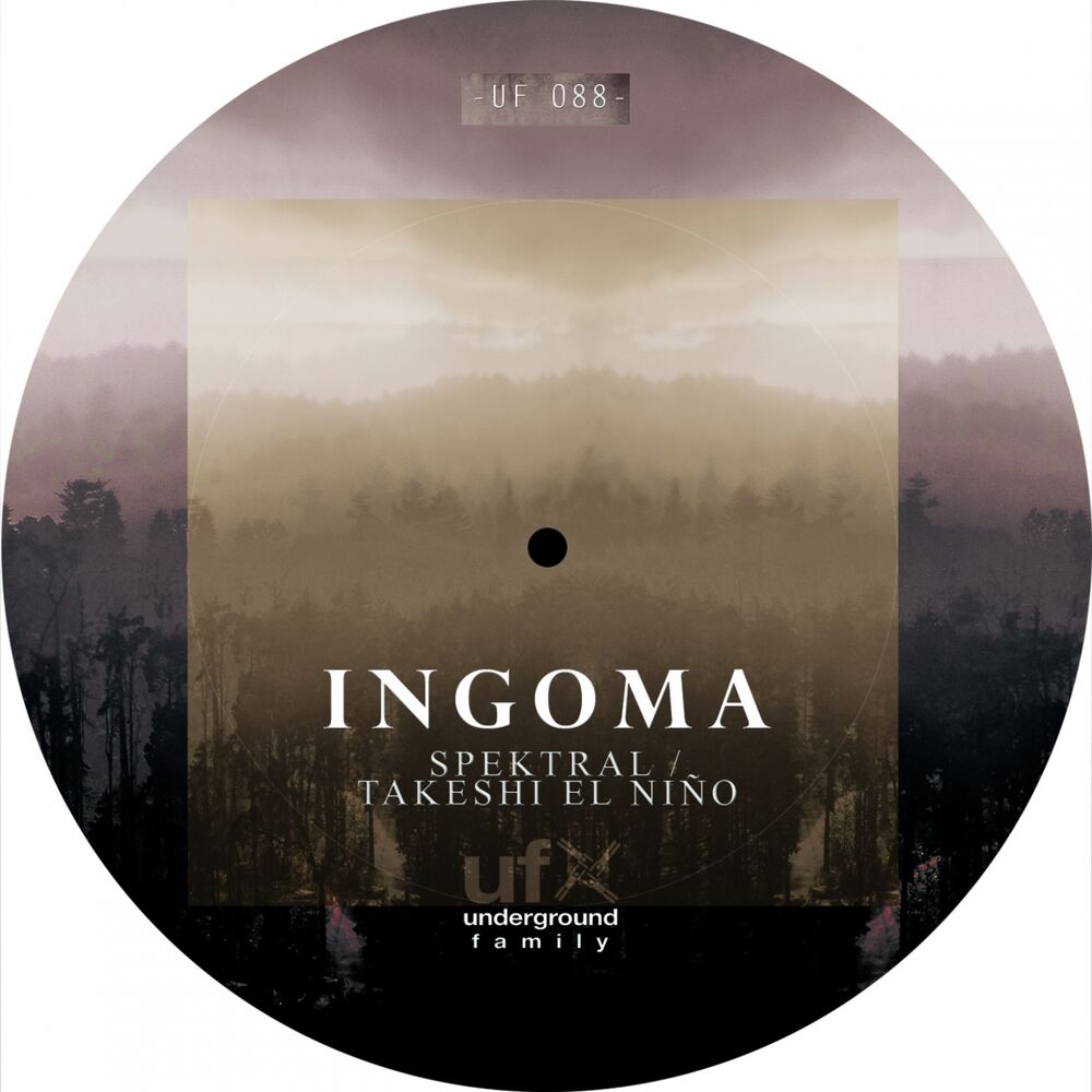 Picture of Ingoma
