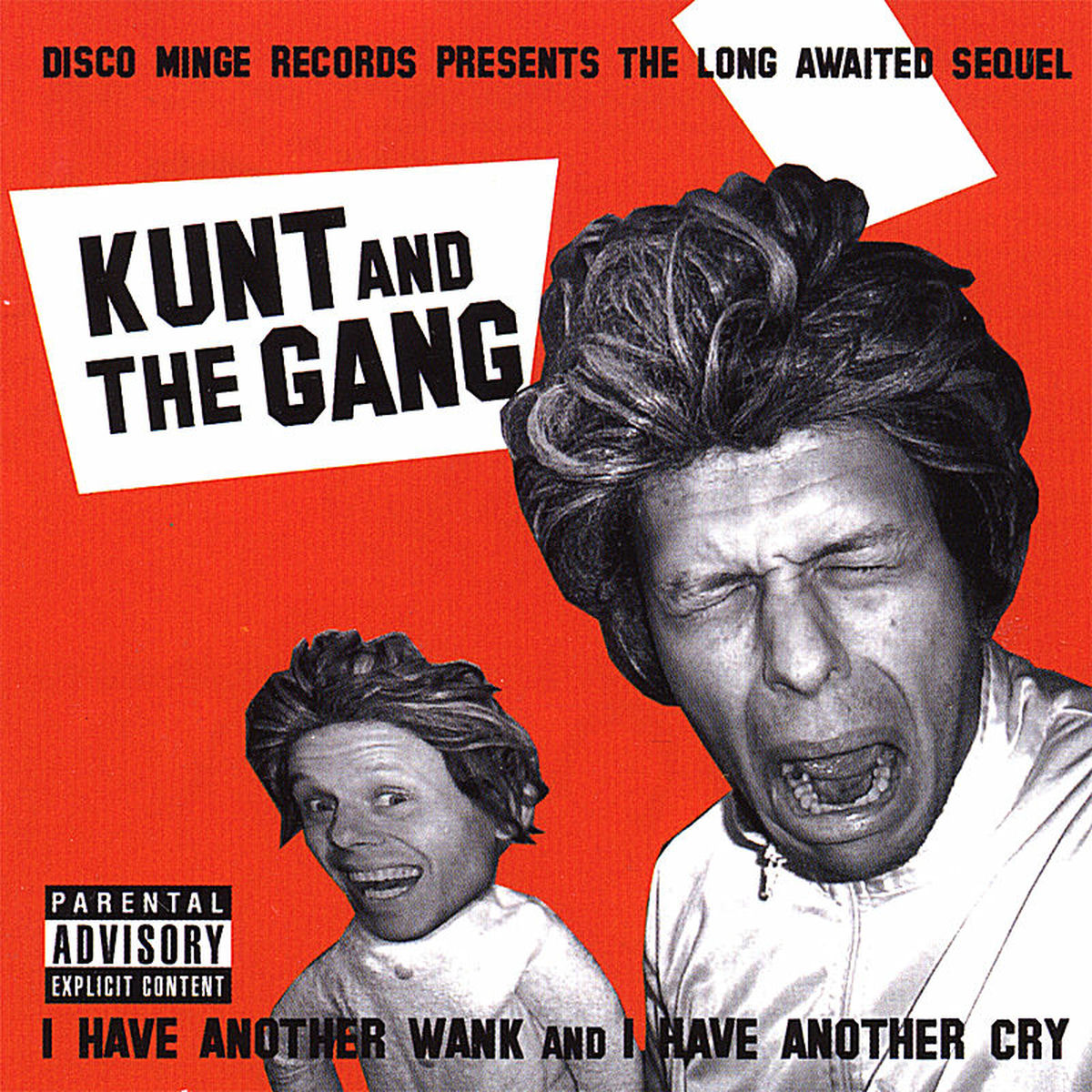 Album cover of i have another wank and i have another cry