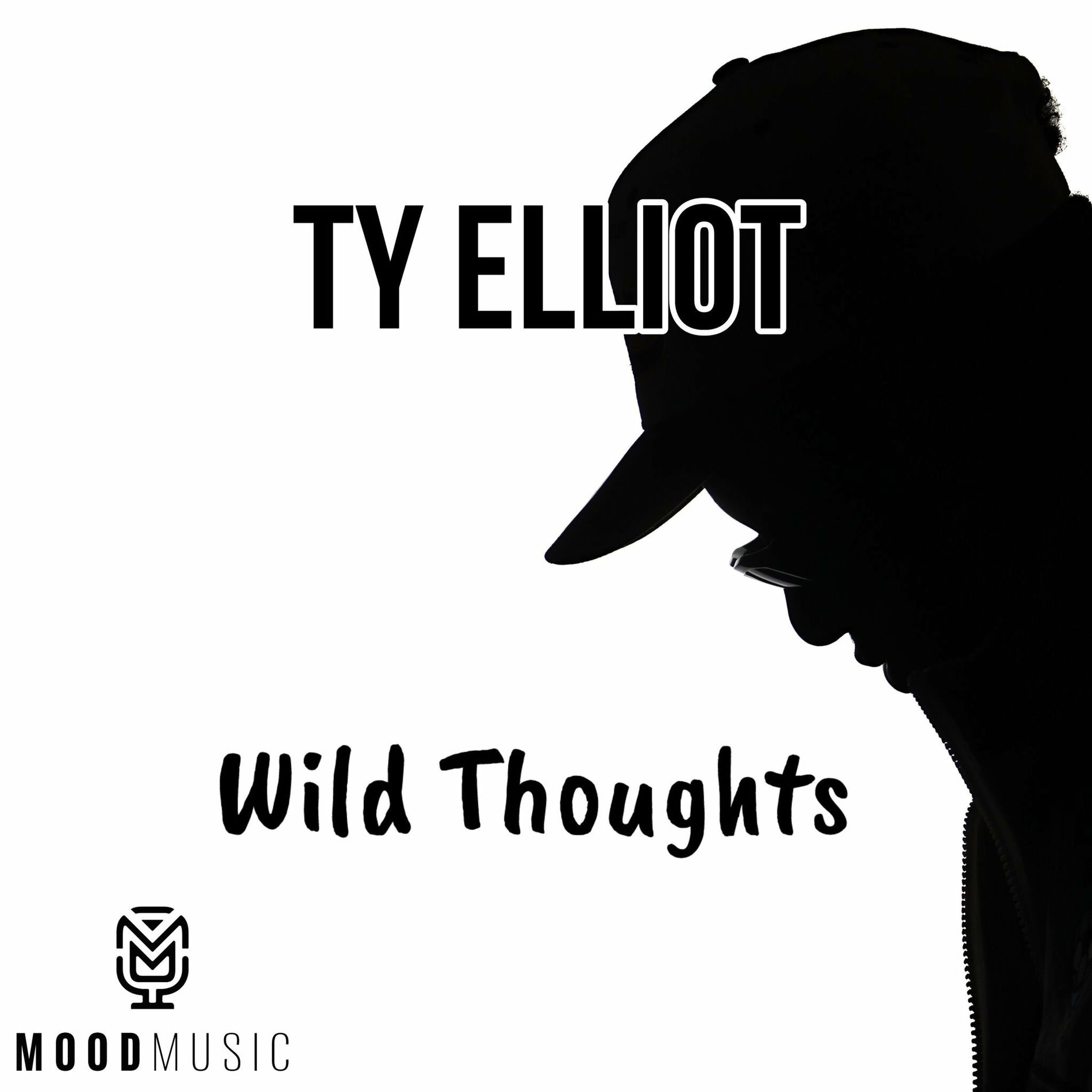Album cover of Wild Thoughts