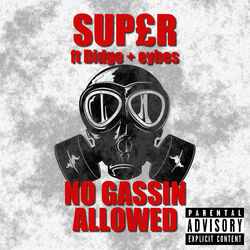 Cover of No Gassin Allowed