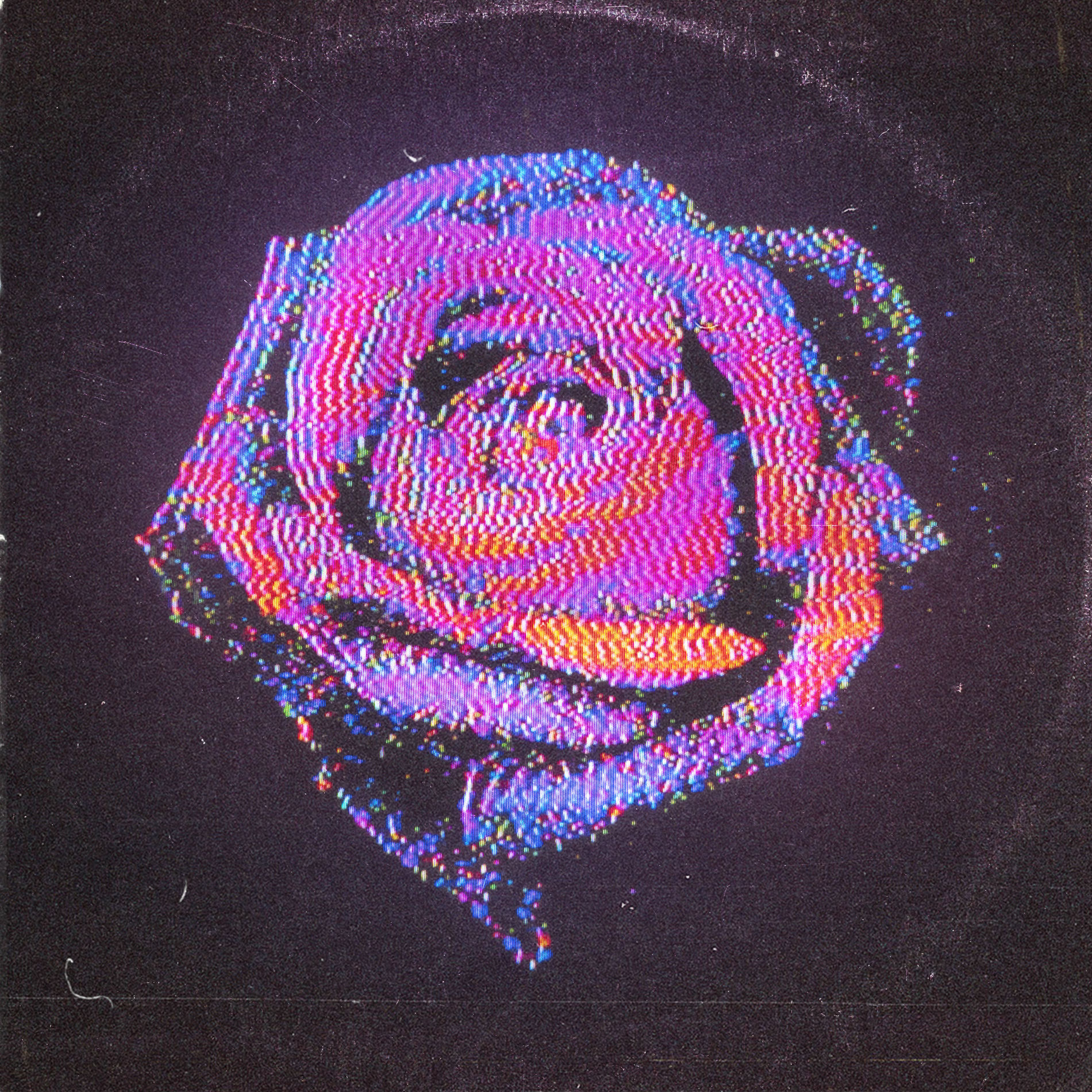 Album cover of Rose