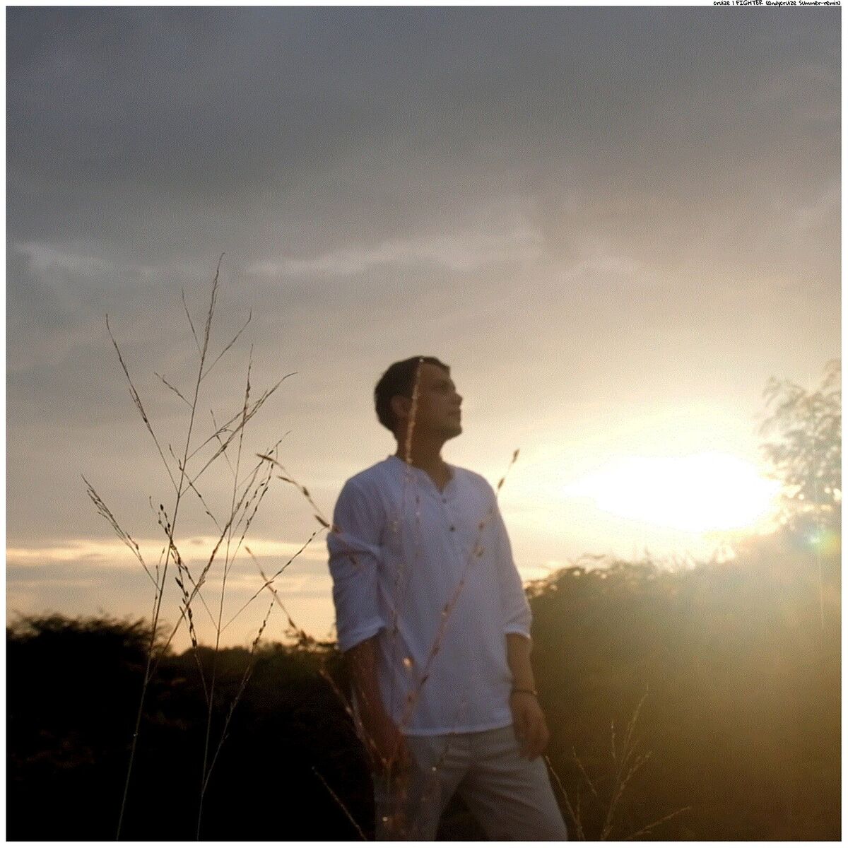 Album cover of Fighter (Summer Remix)