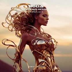Cover of Roda (Black Box Rework)