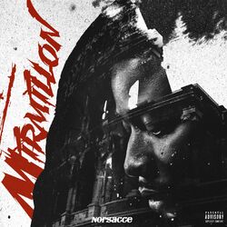 Cover of Mirmillon