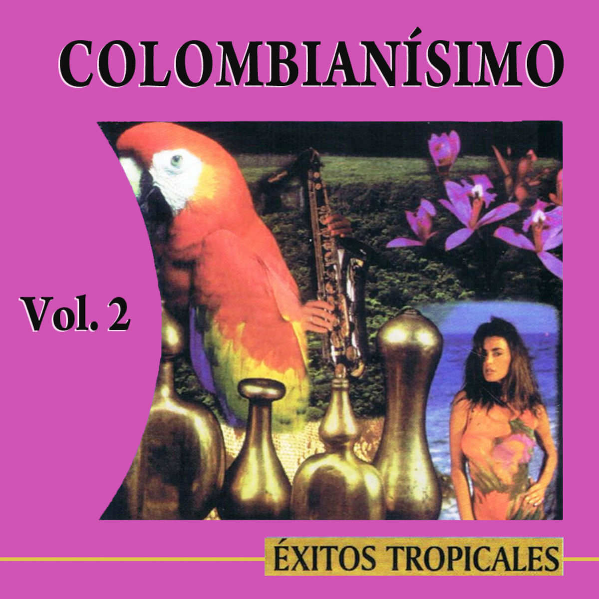 Album cover of Colombianísimo Éxitos Tropicales, Vol. 2