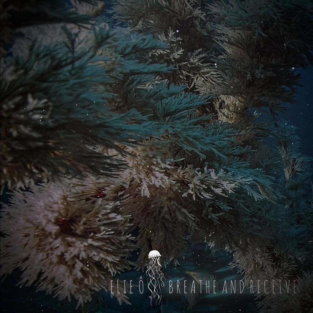 Picture of Breathe and Receive
