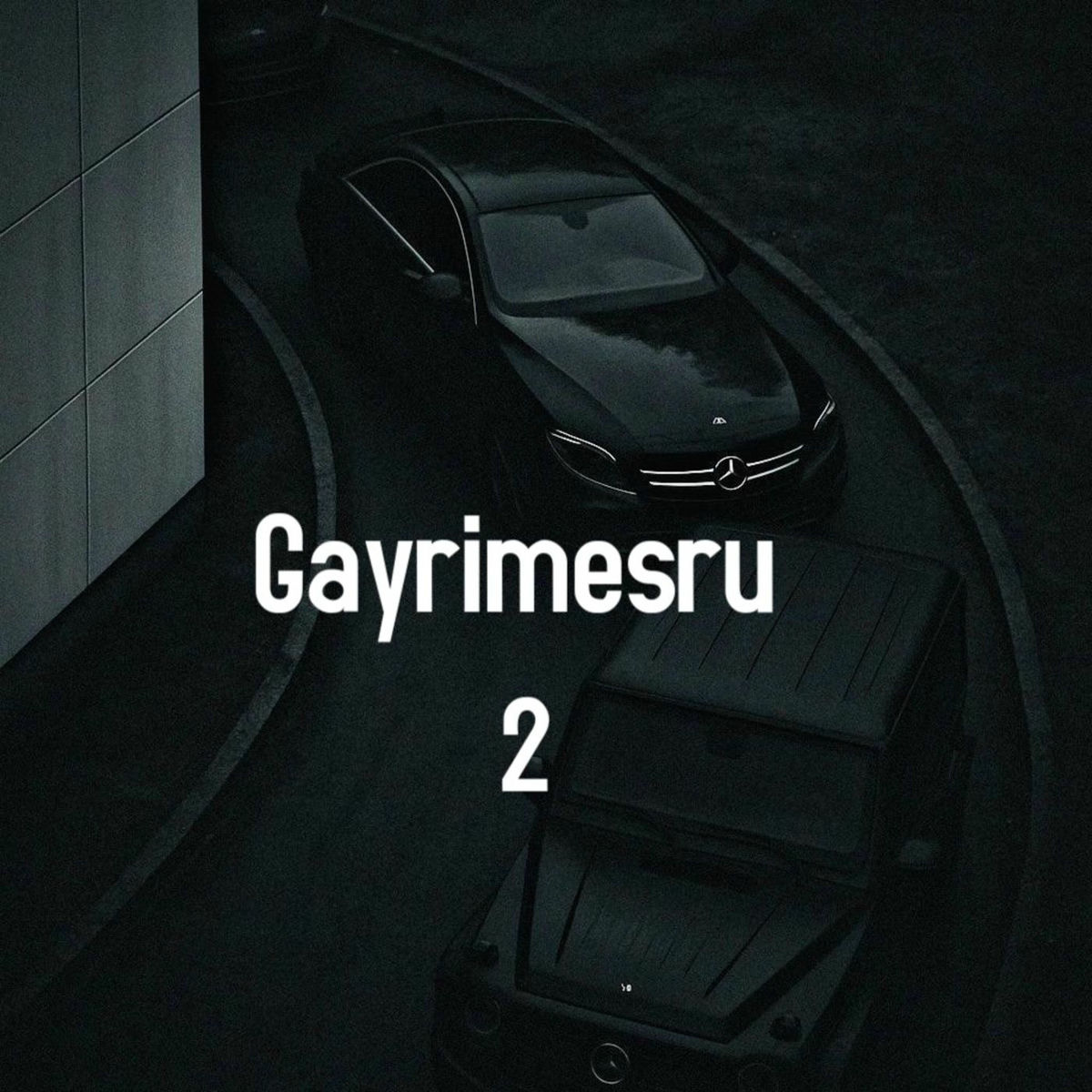 Album cover of Gayrimeşru 2