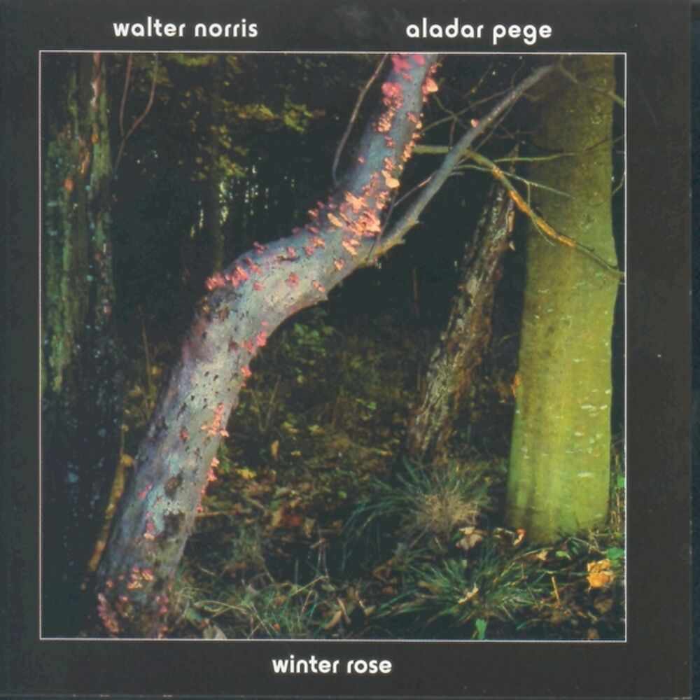 Picture of Winter Rose