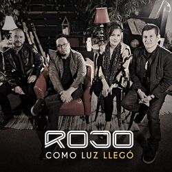 Cover of Como Luz Llegó