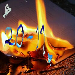 Cover of 20-11