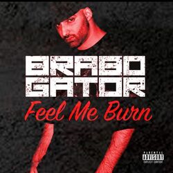 Cover of Feel Me Burn