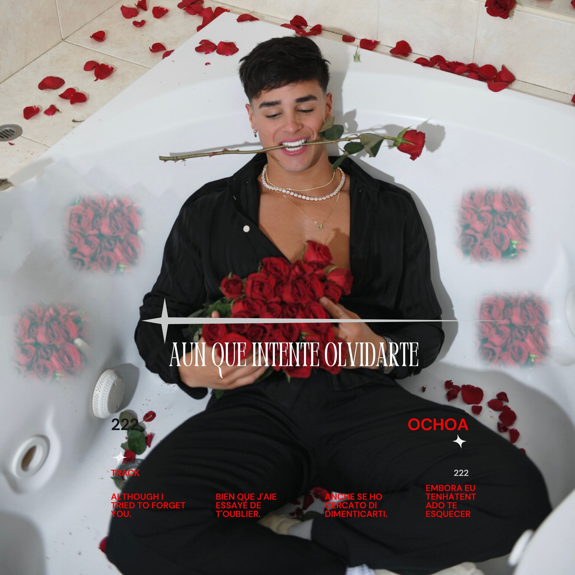 Album cover of Aunque Intente Olvidarte