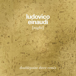 Cover of Night (Doublepoint Remix)