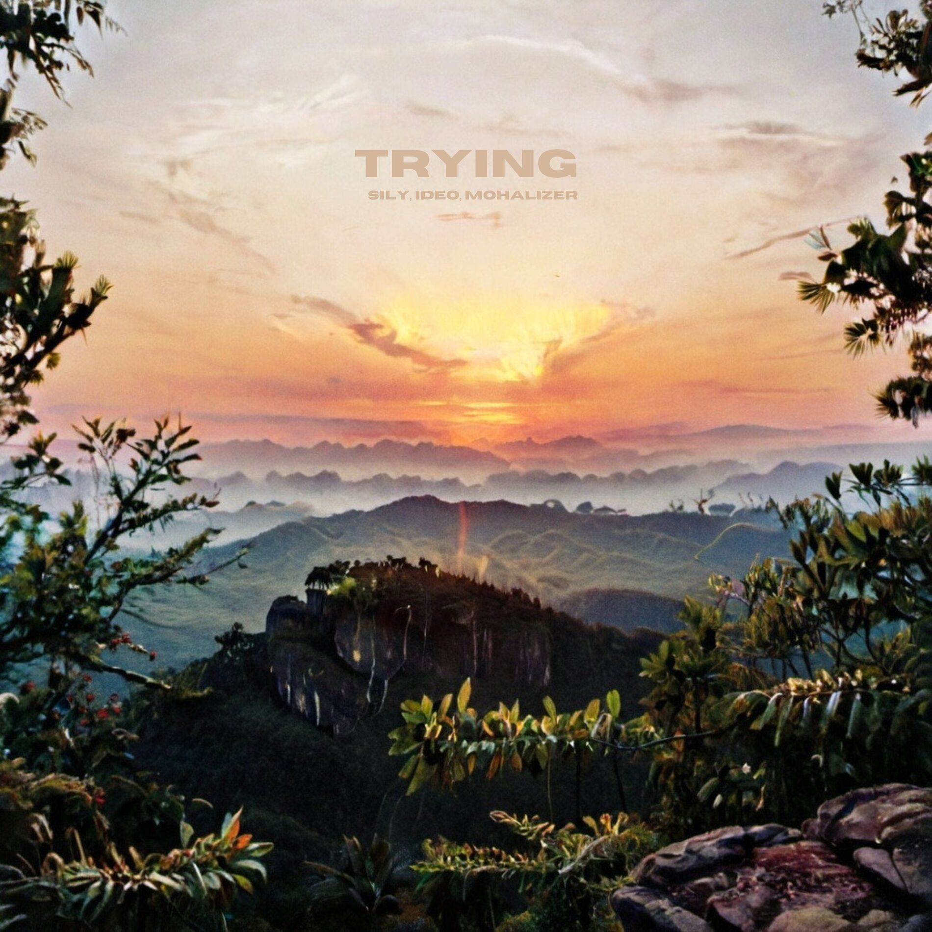 Album cover of Trying