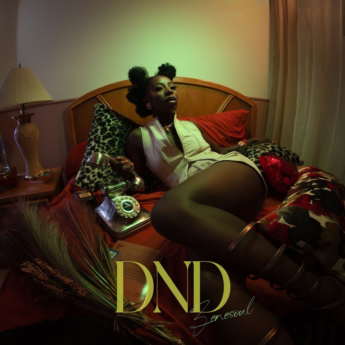 Album cover of DND