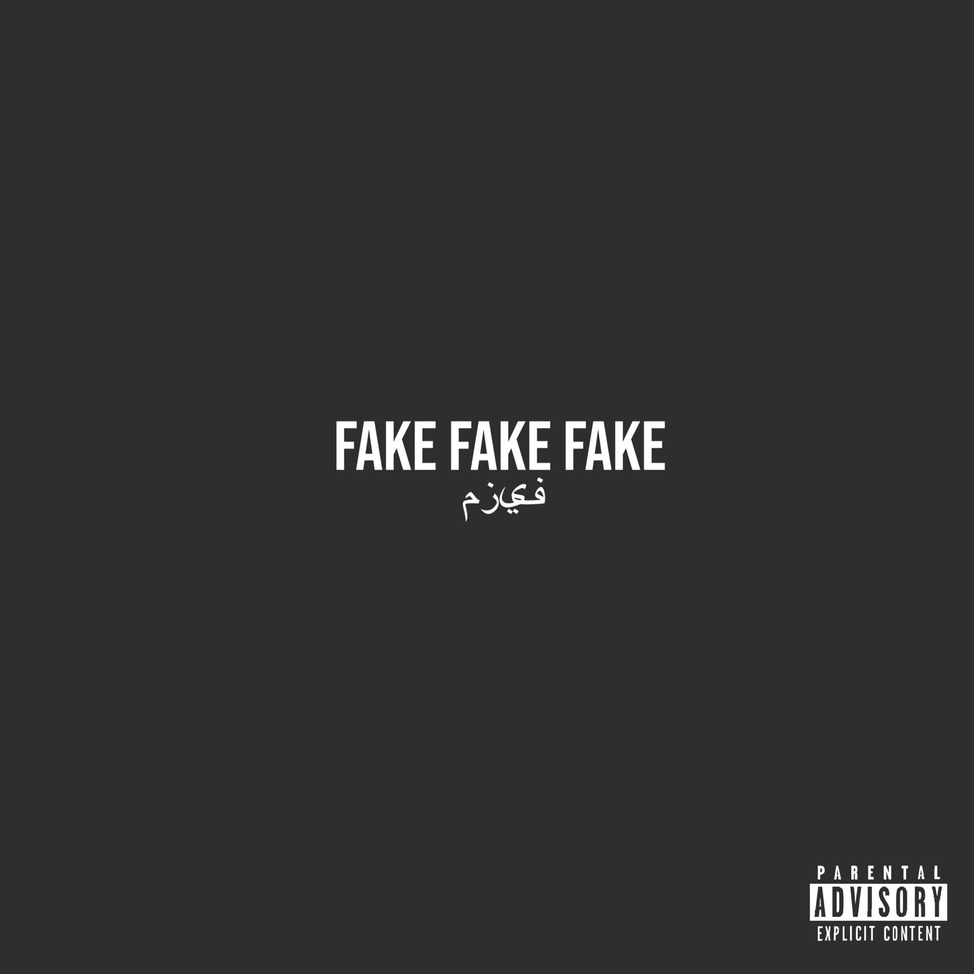 Album cover of Fake Fake Fake