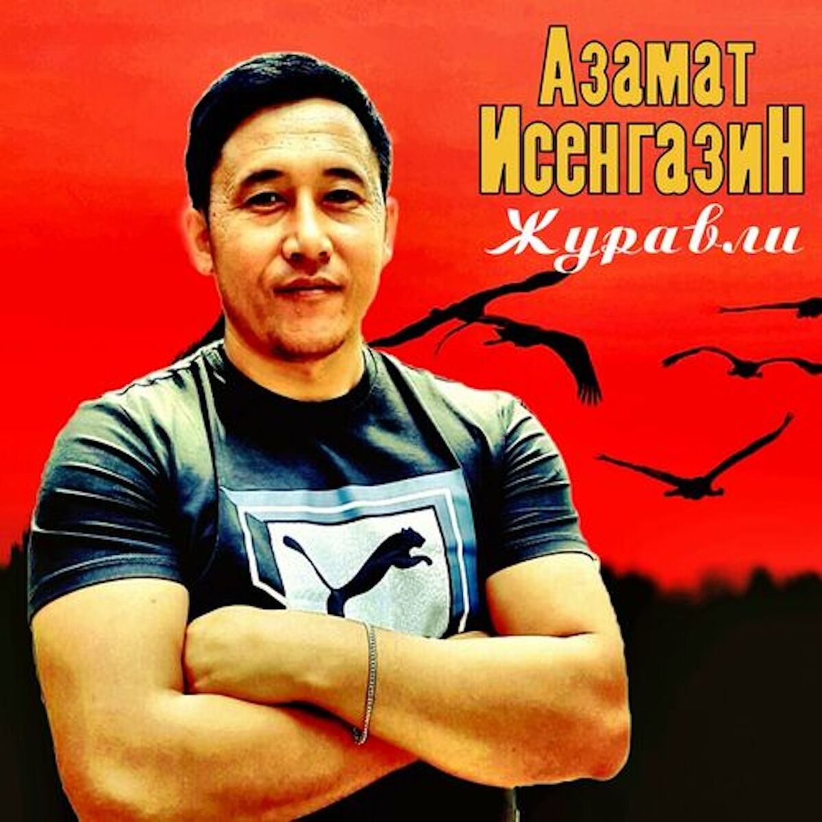 Album cover of Журавли