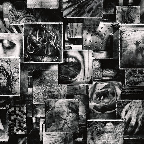 500x500.jpg