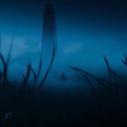 Hallucination
