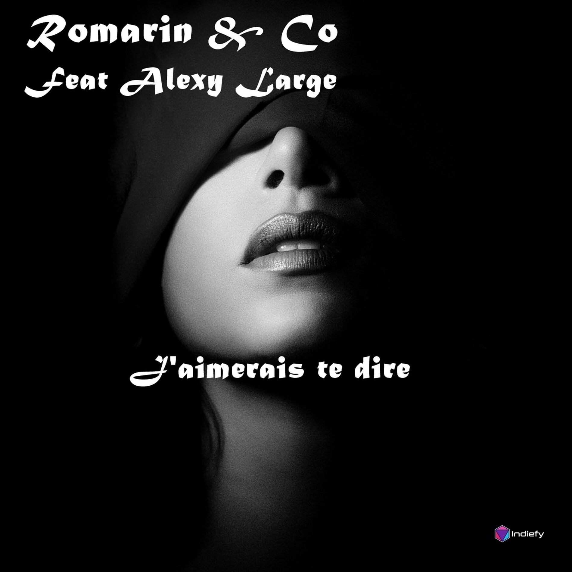 Album cover of J'aimerais te dire