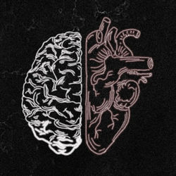 Cover of Conexão by undefined