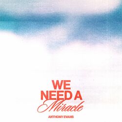 Cover of We Need a Miracle