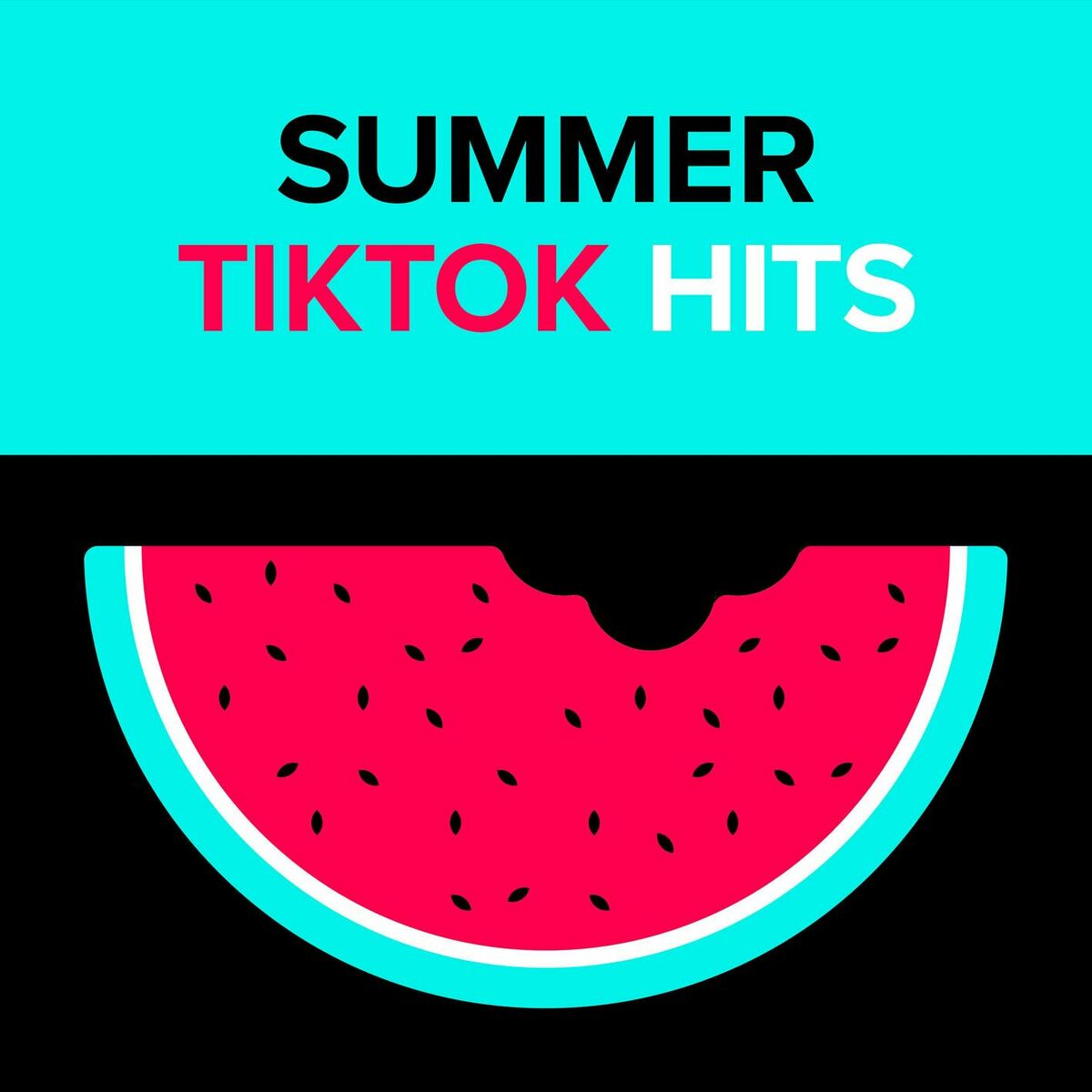 Album cover of SNAP