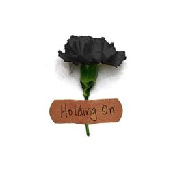 Cover of Holding On
