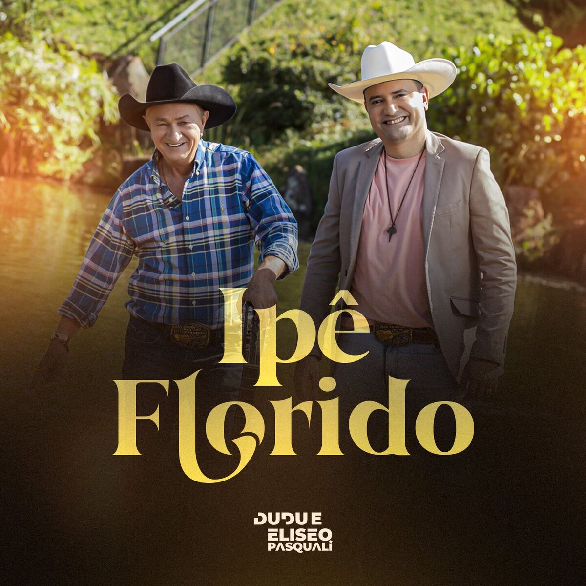 Album cover of Ipê Florido