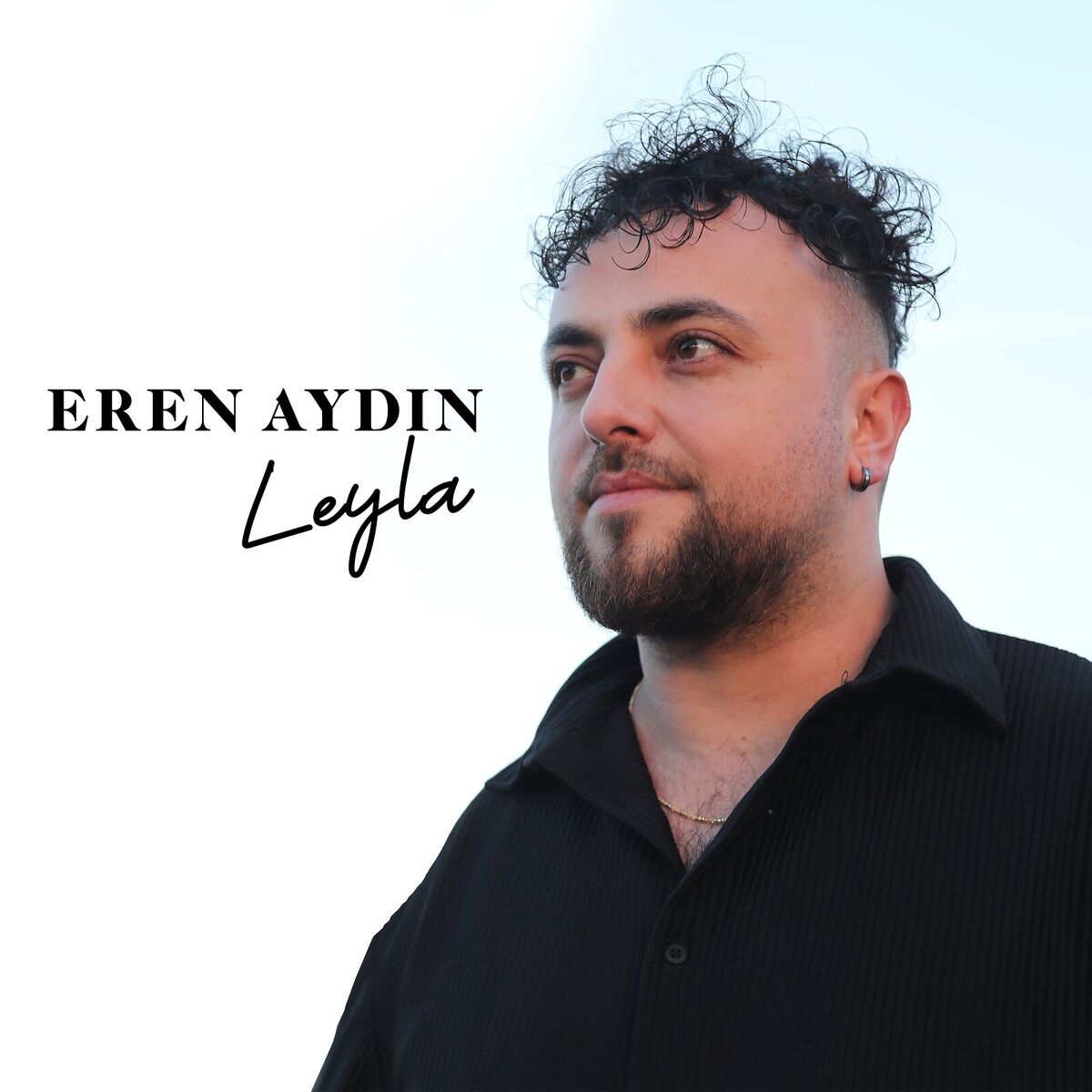 Album cover of Leyla